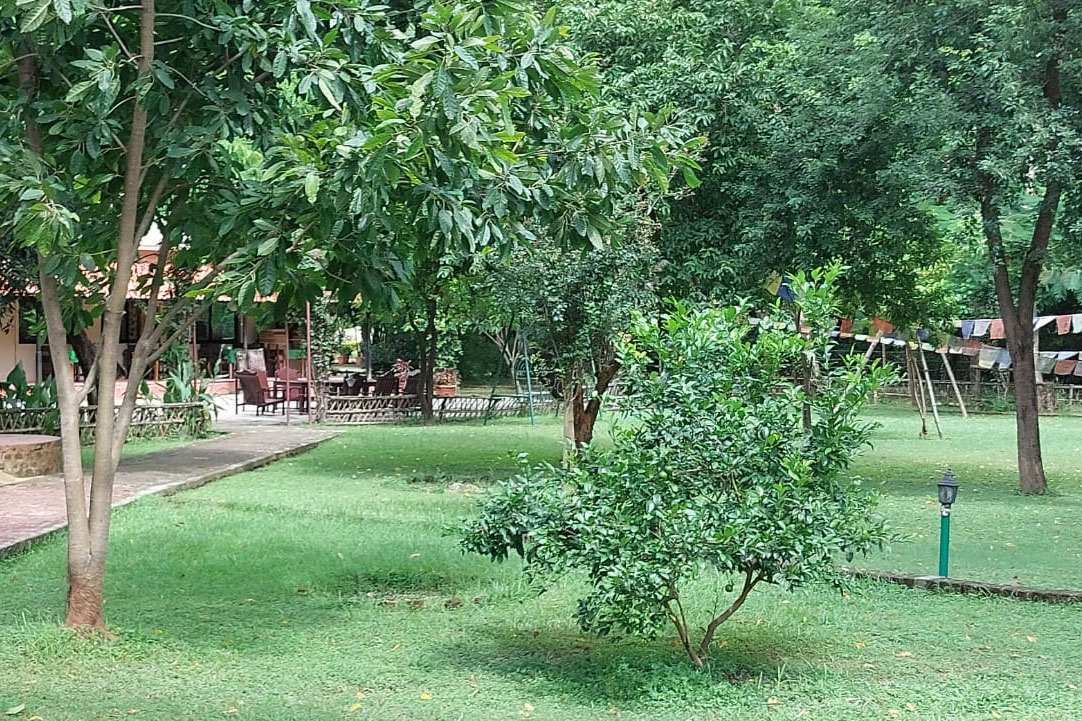 Lumbini Buddha Garden